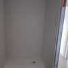 Baño zona ducha 2.