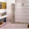 baño1
