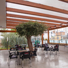 Bar El Olivo