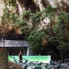 Bar en las “Cuevas dels Hams”