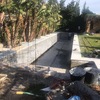 Canal de nado