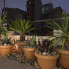 Casa Eixample