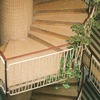 celosía enredadera escaleras
