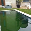 Cesped recien segado