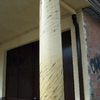 columna