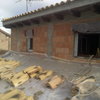 Nueva planta abuardillada en hoyo de manzanares
