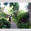 Cortijo Blanco Jardin