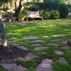 Creación de patio romántico