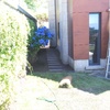 Creacion de sendero 