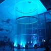 Decoración para evento
