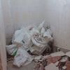Demolicion del baño antiguo