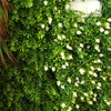 Detalle