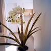 Detalle cocina