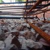 Detalle de la colocación de las armaduras de acero.
