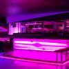 Discoteca Ozona