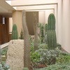 diseño