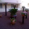 diseño