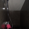 Ducha del baño principal