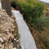Durante la obra