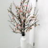 Elemento ornamental
