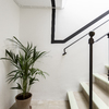 escalera