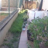Estado previo de la jardinera