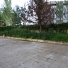 Desbroza superficie de 600 m2