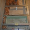 Estructura nichon