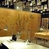 Estudio Tattoo - Estudio Vitale