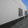 Elche (alicante )
