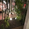 foco de jardin