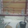 Forrado de pared en laminado