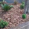 Foto0298