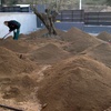Foto0405