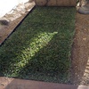 Foto0629