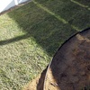Foto0636
