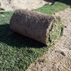 Foto0640