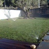 Foto0645