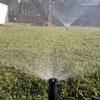 Foto0646