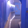 galeria de arte