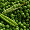 Guisantes