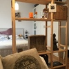 Habitació