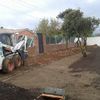 Haciendo zanja para plantar Arizónicas