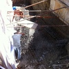 Hormigonado