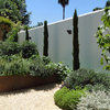 Huerto urbano en jardín de Sevilla