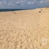HURLEY SURF SCHOOL HOSSEGOR - THK Construcciones