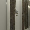 IESIK_detalle troncos