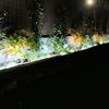 Iluminación de la jardinera