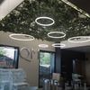 Iluminación de led y vegetación