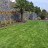 Talar palmera jardin